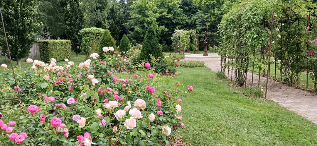 Le jardin de Suzanne