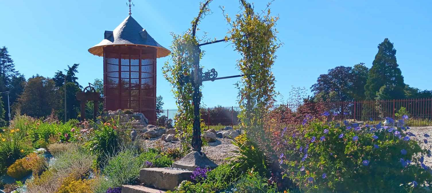 Bienvenue au pigeonnier familial