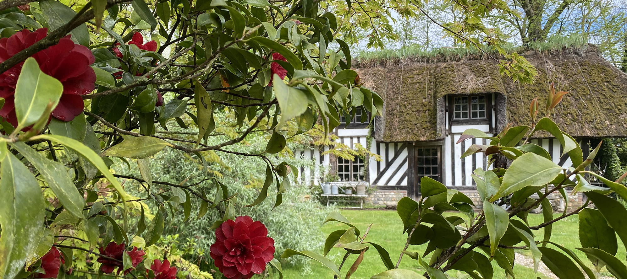 Jardin Le Clos de Chanchore